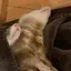 aのプロフィール画像