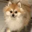 あかりのプロフィール画像