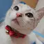 まむのプロフィール画像