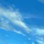 すのプロフィール画像