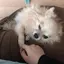 はるのプロフィール画像
