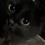 はのプロフィール画像