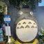 はるのプロフィール画像
