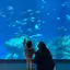 SAKINAのプロフィール画像