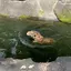たまごのプロフィール画像