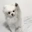 エリーナのプロフィール画像