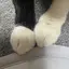 みのプロフィール画像