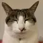るかのプロフィール画像
