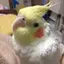 かおのプロフィール画像