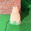 なーちゃんのプロフィール画像
