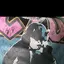 ごはんのプロフィール画像