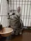 もじゃのプロフィール画像