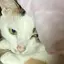 ゆののプロフィール画像