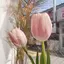 Maのプロフィール画像