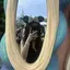 chihiroのプロフィール画像