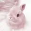 ぴぴのプロフィール画像