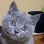 みさのプロフィール画像