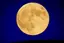 Lunaのプロフィール画像