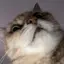 さのプロフィール画像