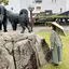 ちゃんのプロフィール画像