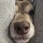 kiyoのプロフィール画像