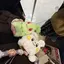 みっちょんのプロフィール画像
