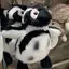 HAPPYのプロフィール画像