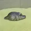 のんのプロフィール画像