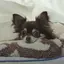 あたろうのプロフィール画像