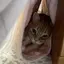 さちのプロフィール画像
