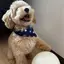 まさのプロフィール画像