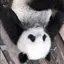 ももかのプロフィール画像