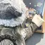 まるのプロフィール画像