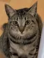おまめちゃんのプロフィール画像
