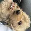Itsukiのプロフィール画像