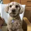 たまごのプロフィール画像