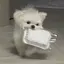 みぃちゃんのプロフィール画像