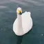 石のプロフィール画像