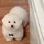 三月のプロフィール画像