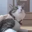 れのプロフィール画像