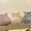えなのプロフィール画像