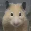 ねりのプロフィール画像