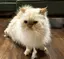 さのプロフィール画像