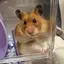 なるのプロフィール画像