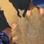 れなのプロフィール画像