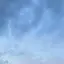 npのプロフィール画像