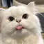 nのプロフィール画像