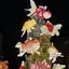 kaのプロフィール画像