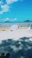樹里のプロフィール画像