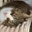 M.Iのプロフィール画像